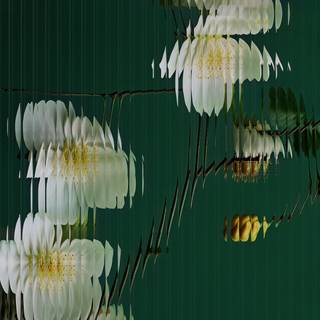 Xiaomi Mix Flip wallpaper