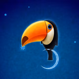 Toucan 4k wallpaper
