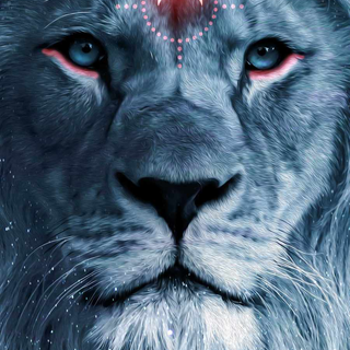 Cool lion iPhone wallpaper
