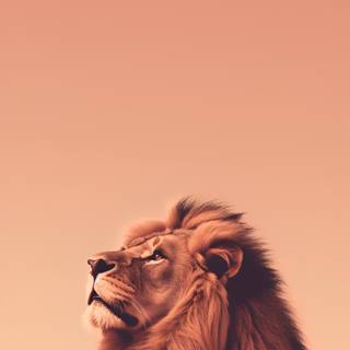 Cool lion iPhone wallpaper