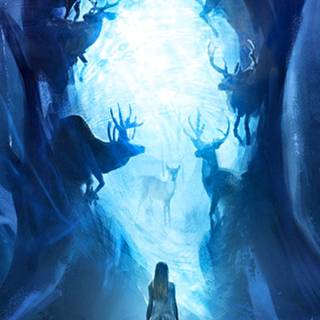 Phone magic wallpaper