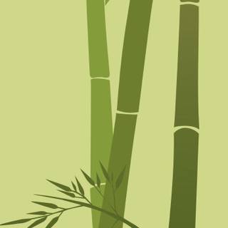 Bamboo iPhone wallpaper