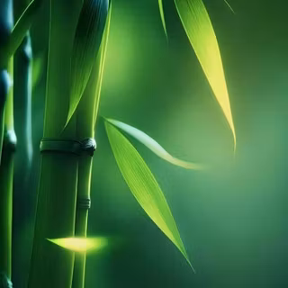 Bamboo iPhone wallpaper