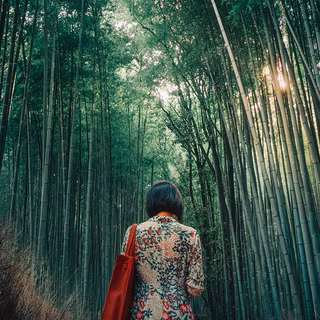 Bamboo iPhone wallpaper