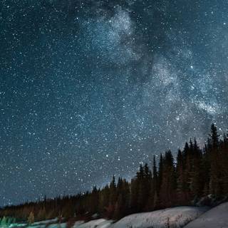 iPhone 11 light wallpaper