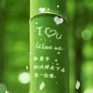 Bamboo iPhone wallpaper