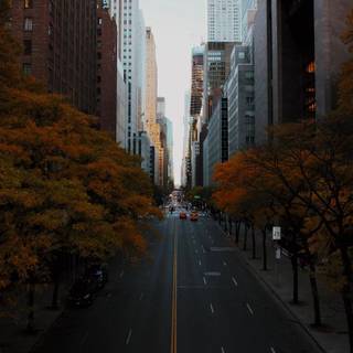 Place iPhone wallpaper