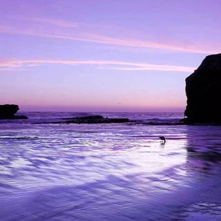 iPhone 11 light wallpaper