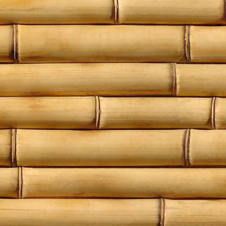 Bamboo iPhone wallpaper
