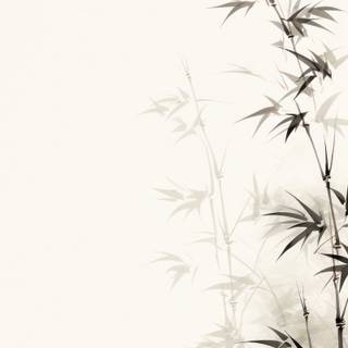 Bamboo iPhone wallpaper