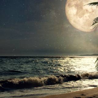 iPhone night beach wallpaper