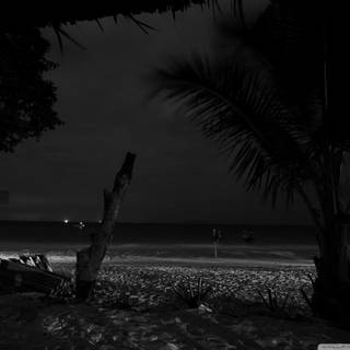 4k night beach wallpaper