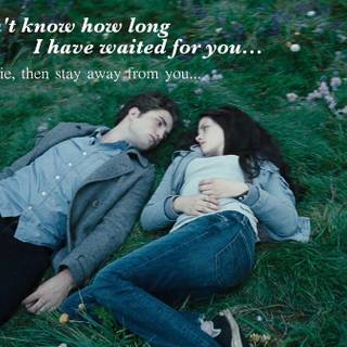 Romantic movie lines wallpaper