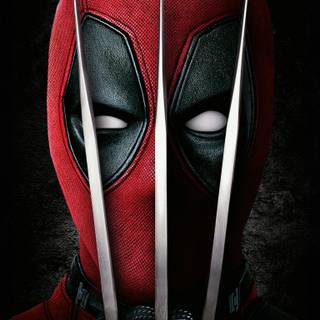 Deadpool x Wolverine wallpaper