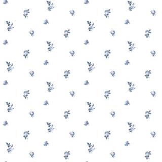 Blue coquette wallpaper