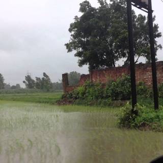 Rainy village wallpaper