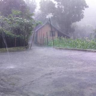 Rainy village wallpaper