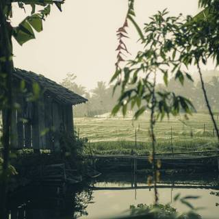 Rainy village wallpaper