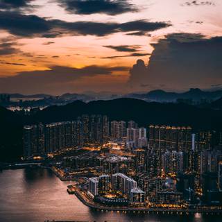 Google theme wallpaper