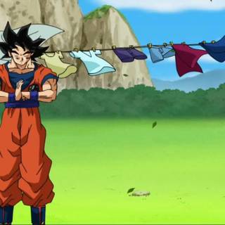 Goku meditation wallpaper