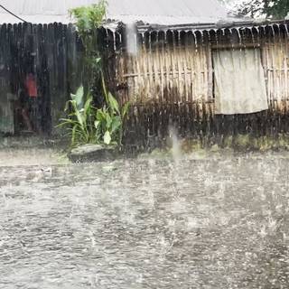 Rainy village wallpaper