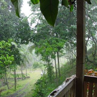 Rainy village wallpaper