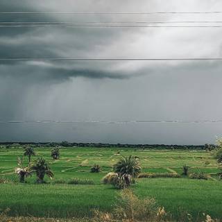Rainy village wallpaper