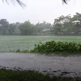 Rainy village wallpaper