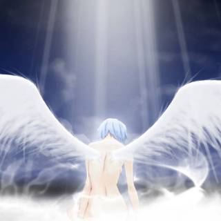 Rei Angel wallpaper