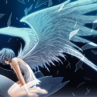 Rei Angel wallpaper