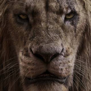 Scarface lion wallpaper