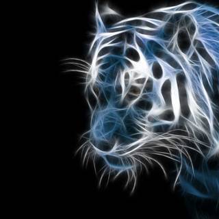 White tiger head wallpaper