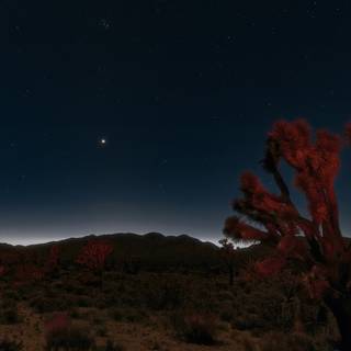 Desert at night 4k wallpaper