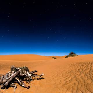 Desert at night 4k wallpaper