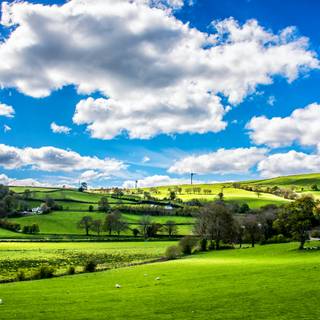 Nature scenery 4k wallpaper