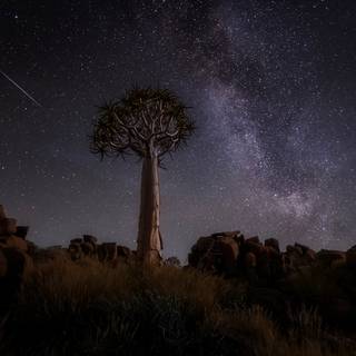 Desert at night 4k wallpaper