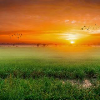 Nature scenery 4k wallpaper