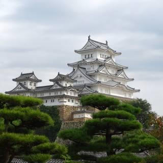 Japanese castle 4k wallpaper