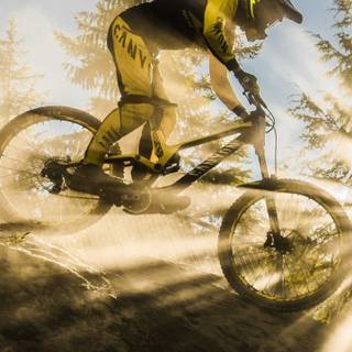 Downhill phone wallpaper