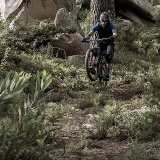 Downhill phone wallpaper