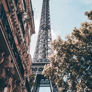 iPhone France wallpaper