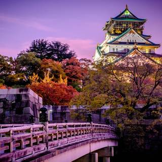 Osaka City wallpaper