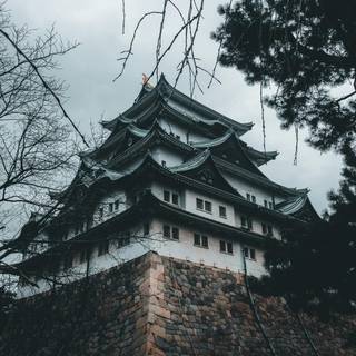 Japanese castle 4k wallpaper