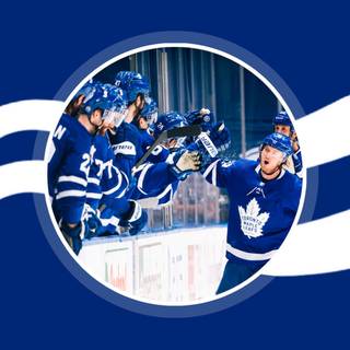 Toronto Maple Leafs iPhone wallpaper