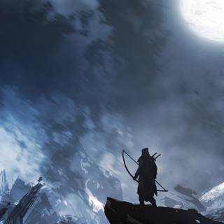 Phone warrior wallpaper