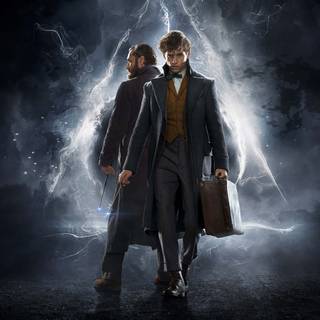 Newt Scamander and Harry Potter wallpaper