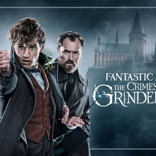 Newt Scamander and Harry Potter wallpaper