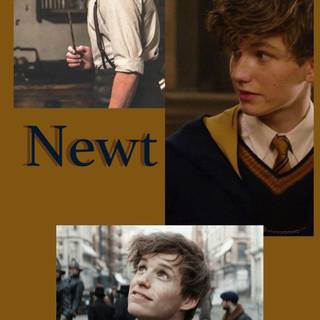 Newt Scamander and Harry Potter wallpaper