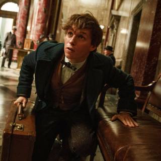 Newt Scamander and Harry Potter wallpaper