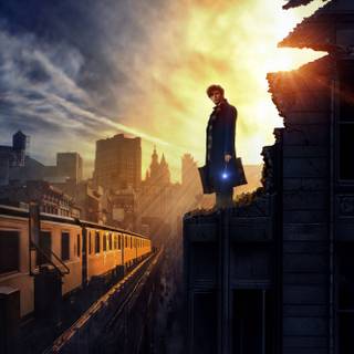 Newt Scamander and Harry Potter wallpaper